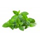 Mix Menthe (2 x 4,5 kg)